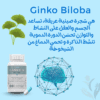 Ginkgo Biloba
